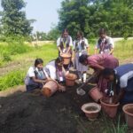 Plantation
